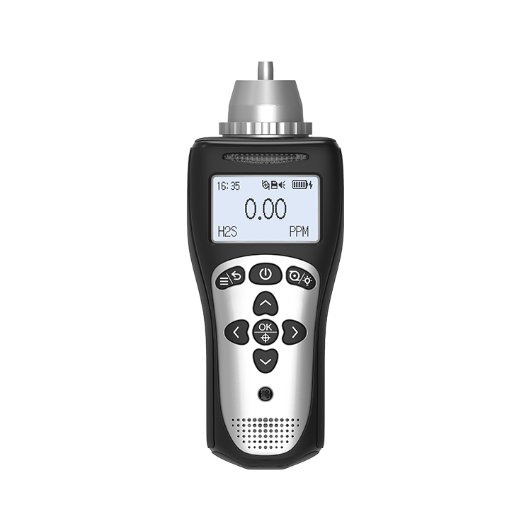 Ut sit insolita portable Gas detector sit condita et servetur?