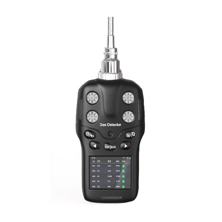 Portable IV-in-I Gas detector